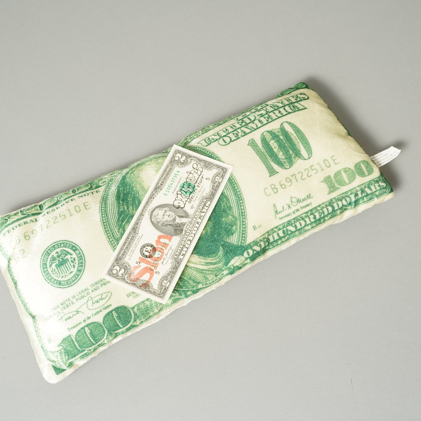 HUNDRED DOLLAR BILL Plush Toy