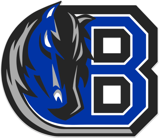 BRONXVILLE BRONCOS Hoodie