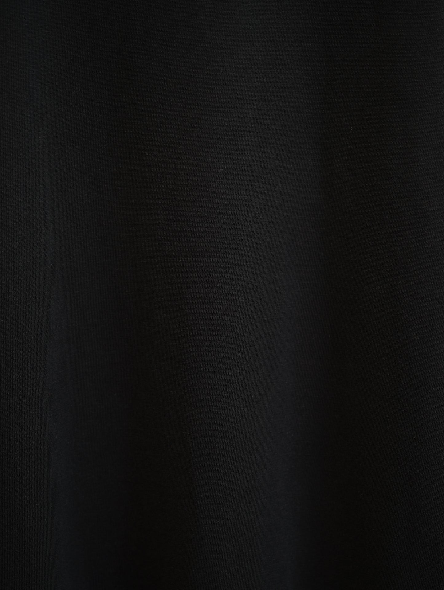 Banana Republic Plain S/S Authentic Tee