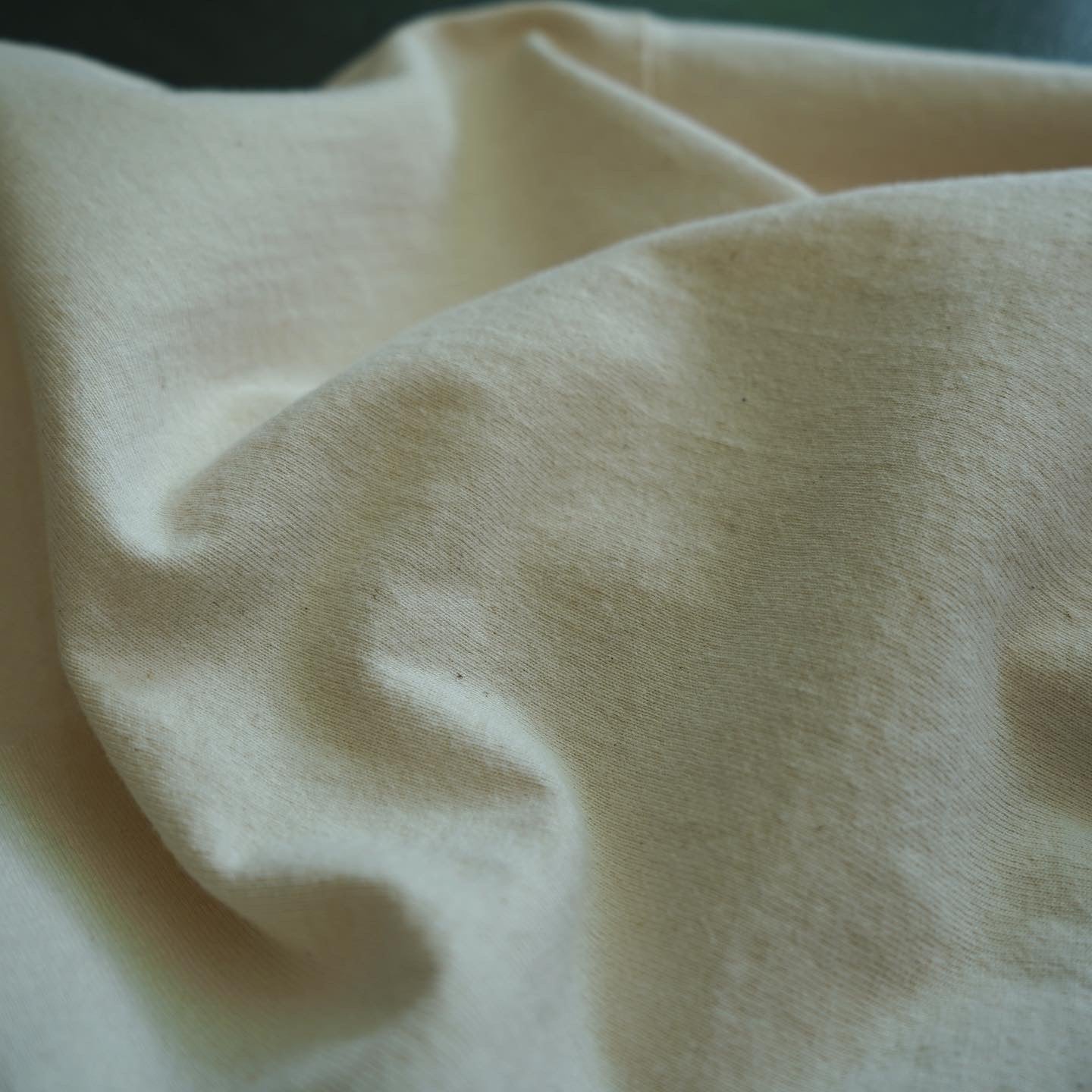 Fruits of the Loom "SUPER COTTON" Mock Neck L/S Tee