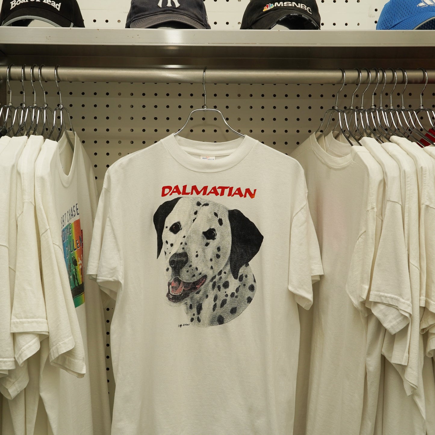 DALMATIAN Tee