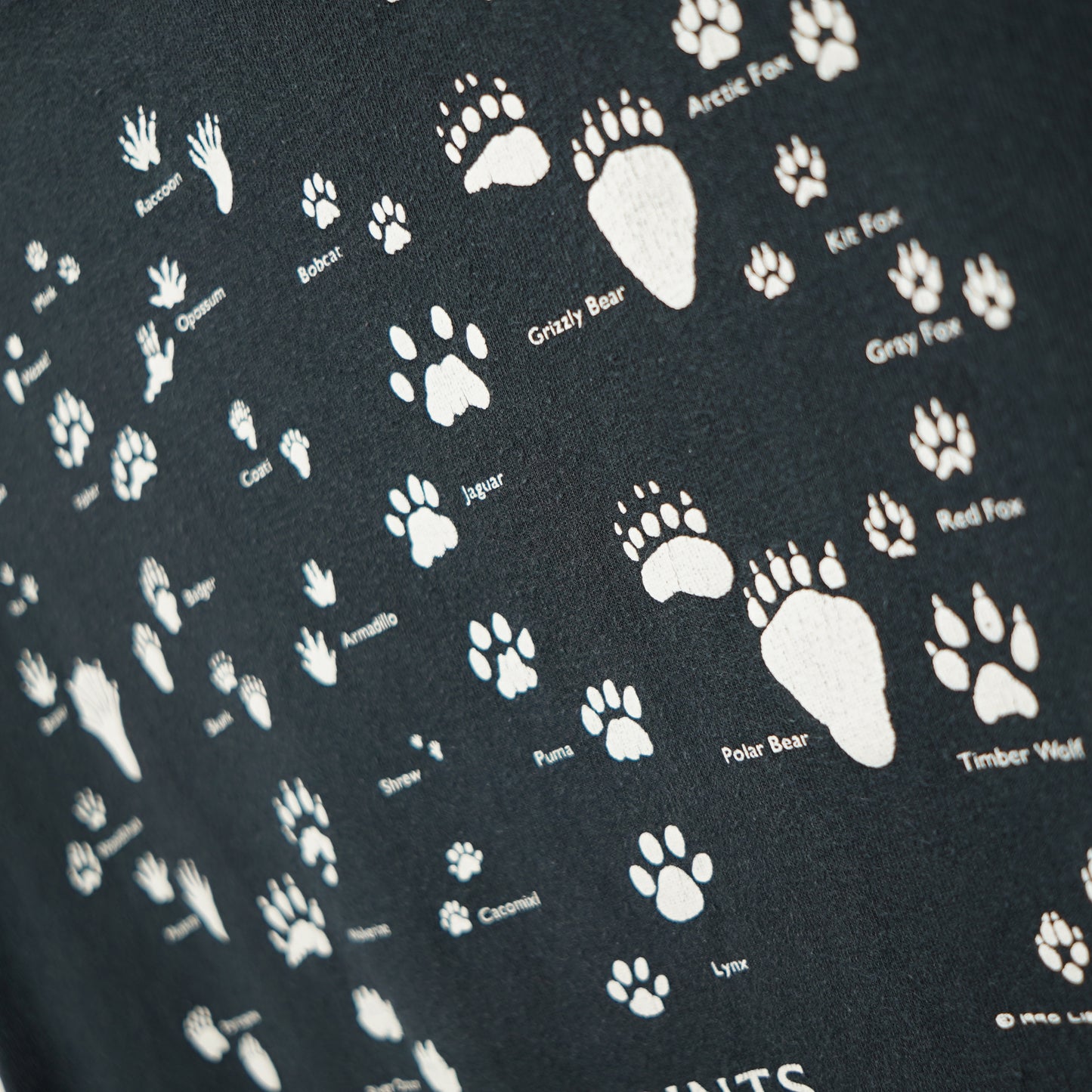 FOOTPRINTS Tee