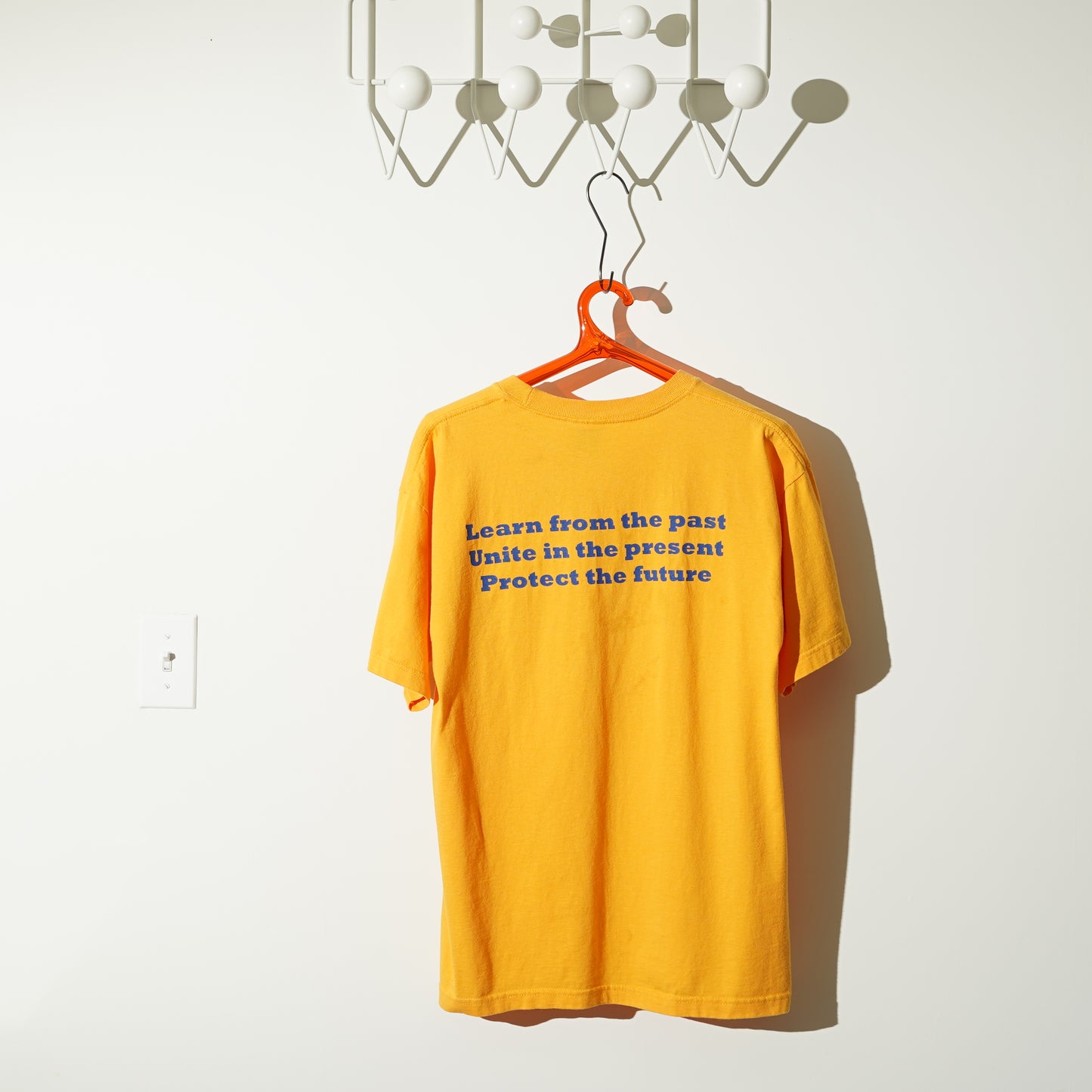 DDSO Division 244 S/S Tee