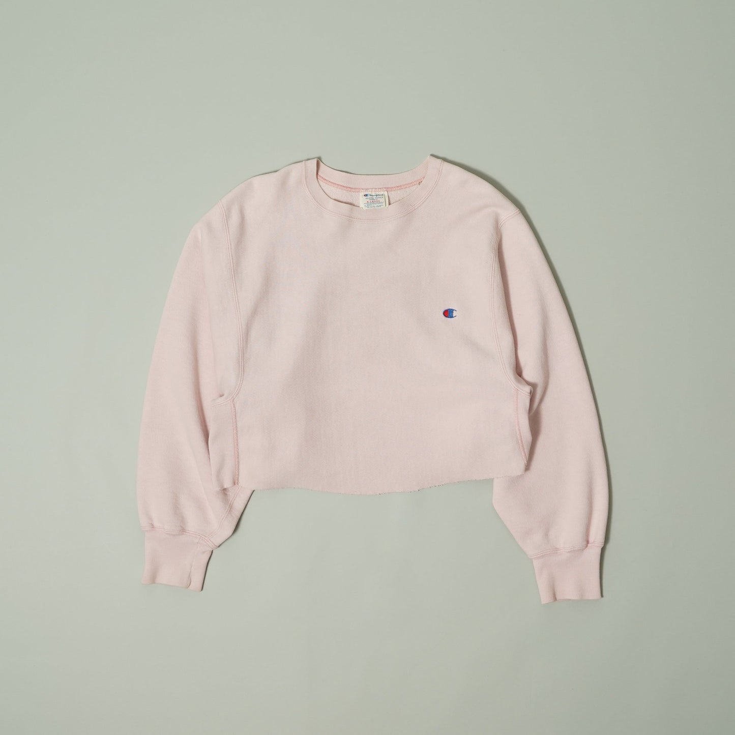 Cut off Cropped Champion Reverse Weave Sweatshirt