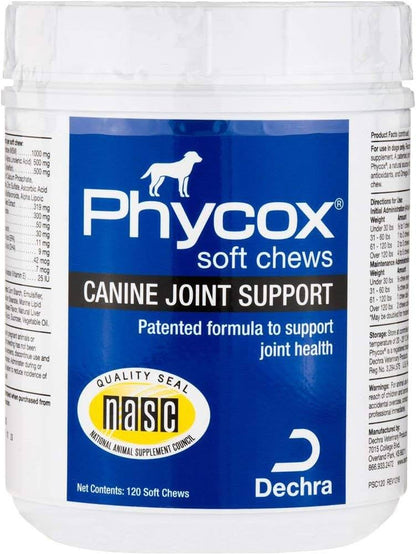 Phycox Logo Hat