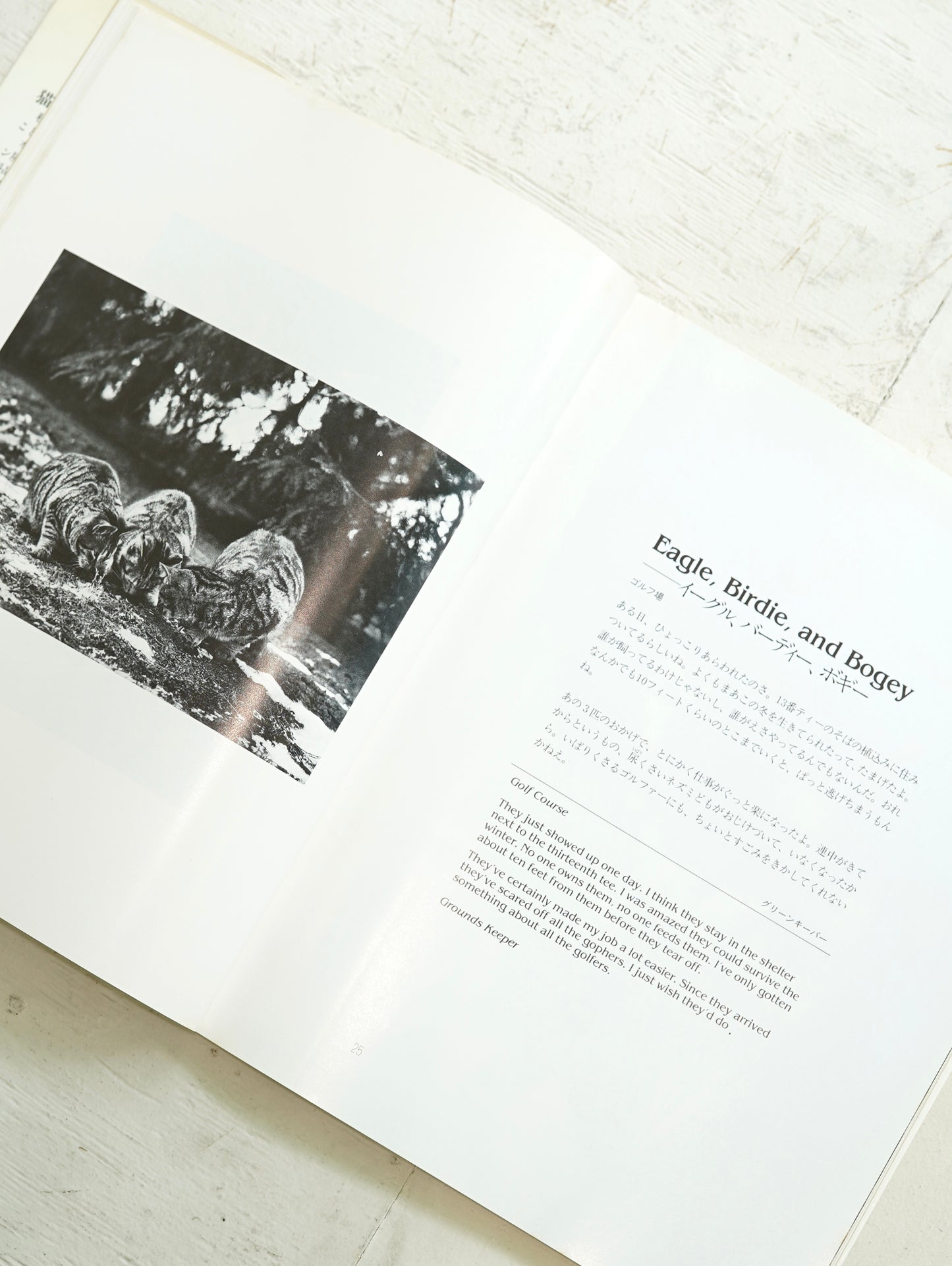 Slon Books - ニューヨークの猫たち