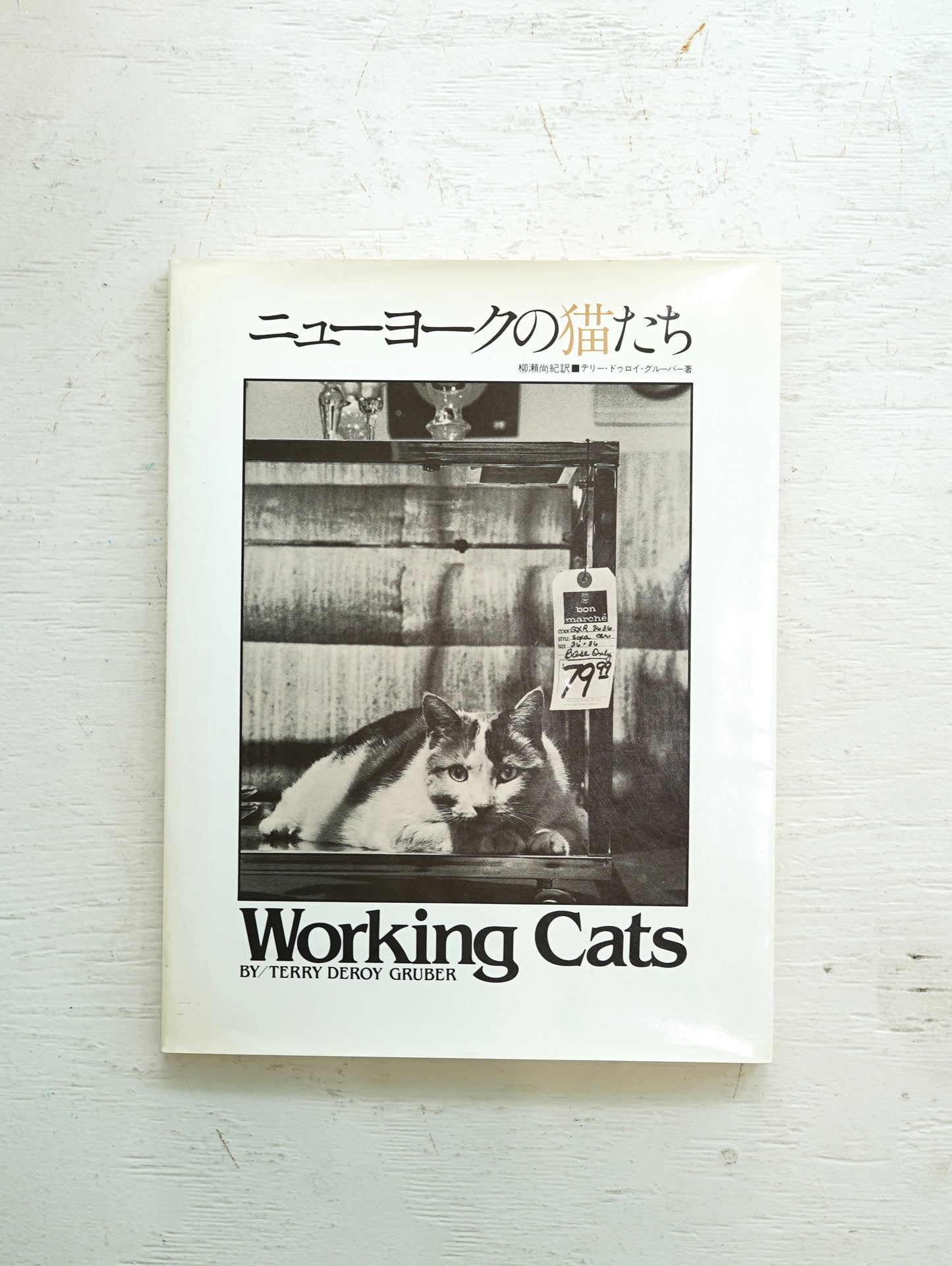 Slon Books - ニューヨークの猫たち