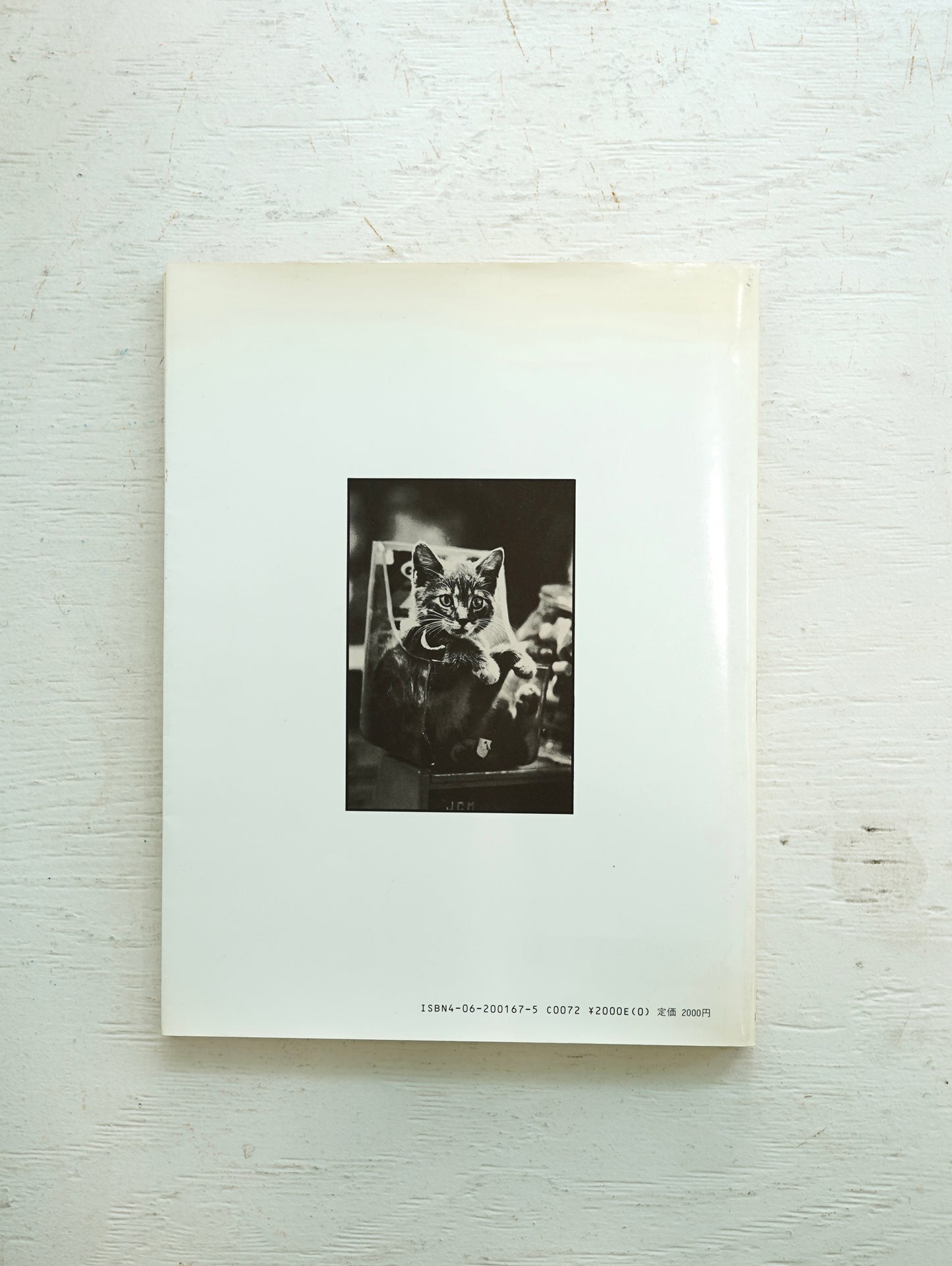 Slon Books - ニューヨークの猫たち