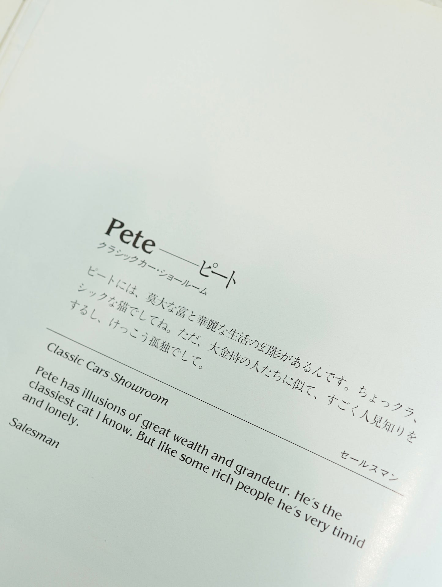 Slon Books - ニューヨークの猫たち