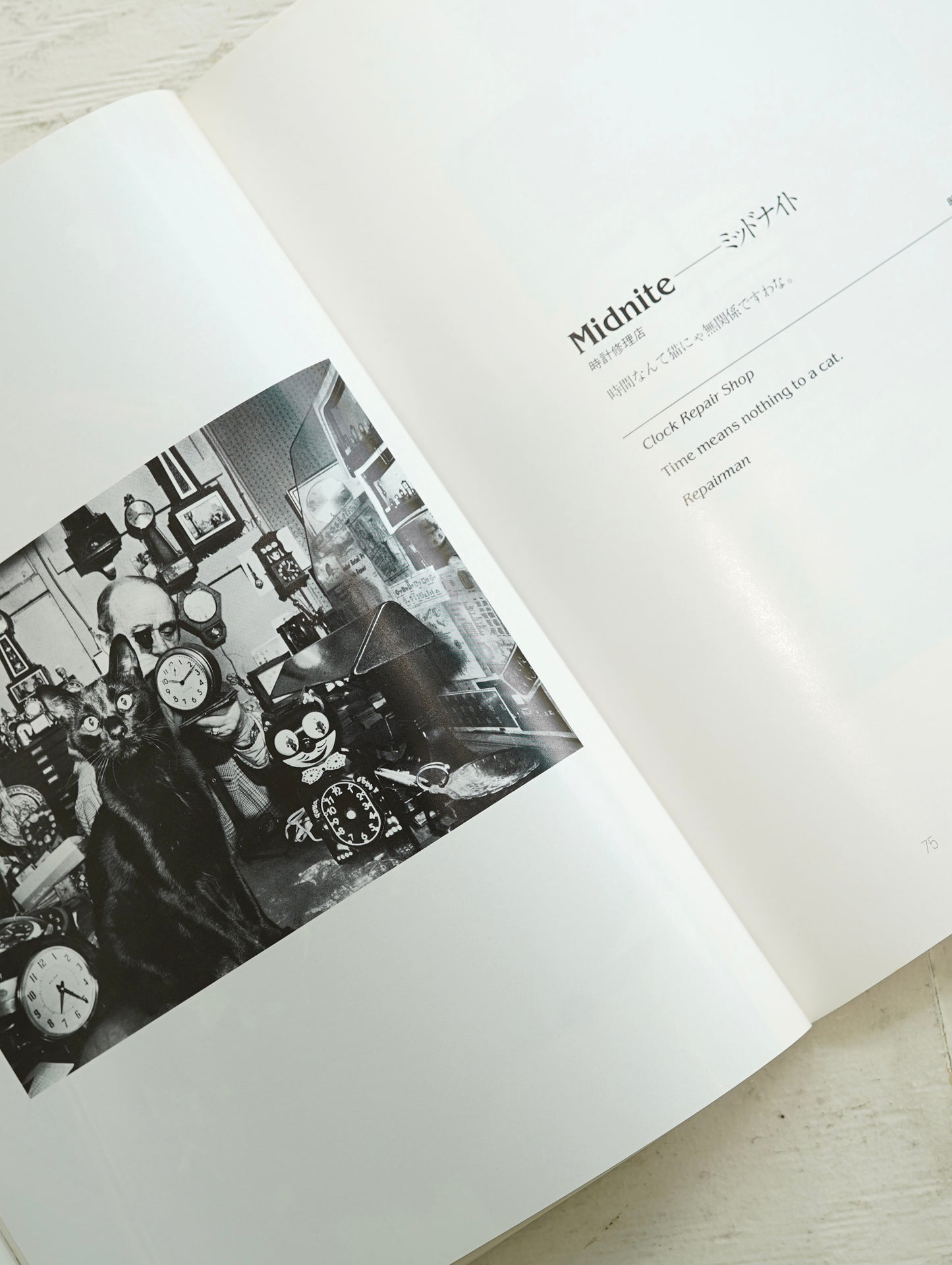 Slon Books - ニューヨークの猫たち