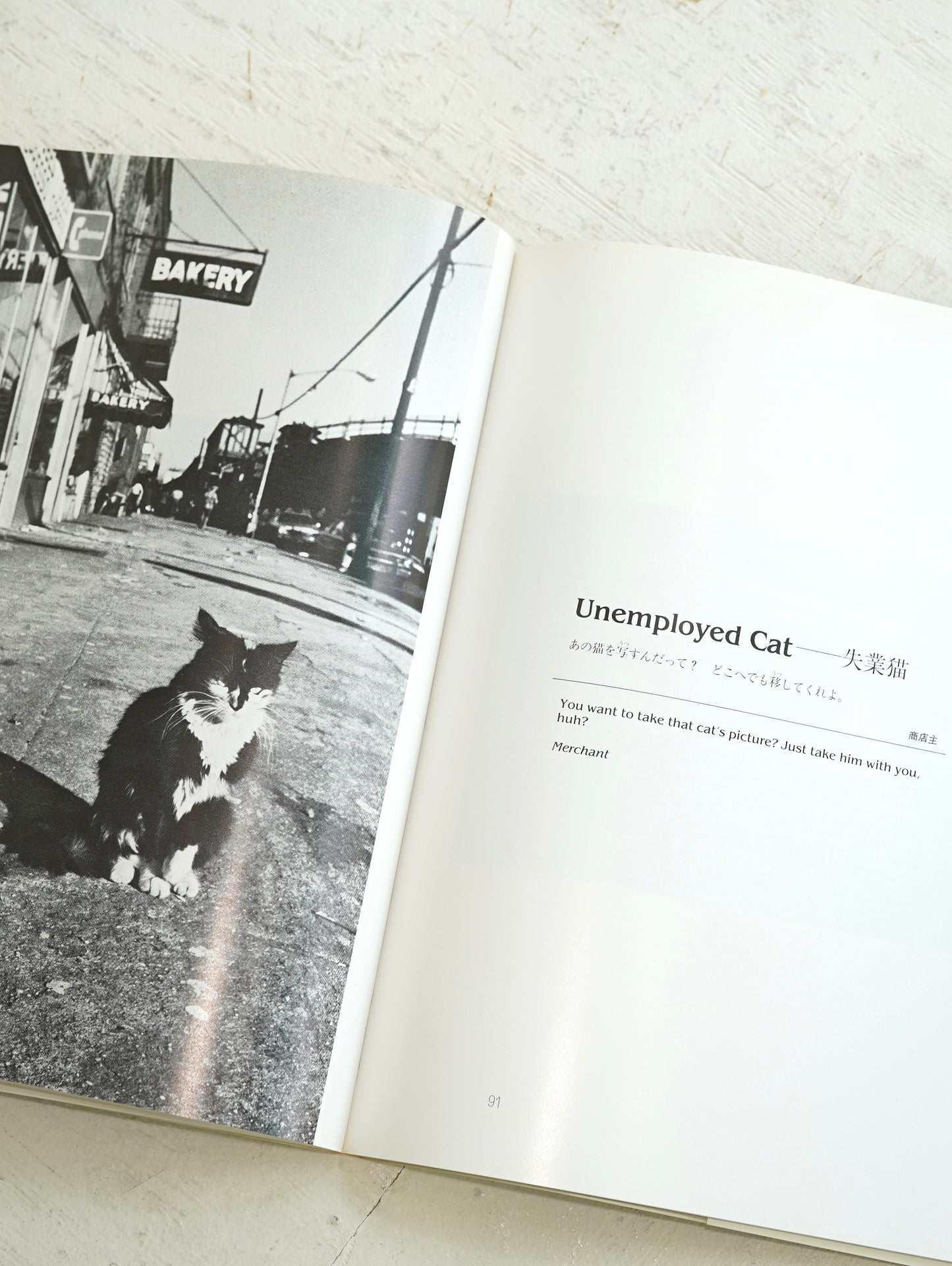 Slon Books - ニューヨークの猫たち