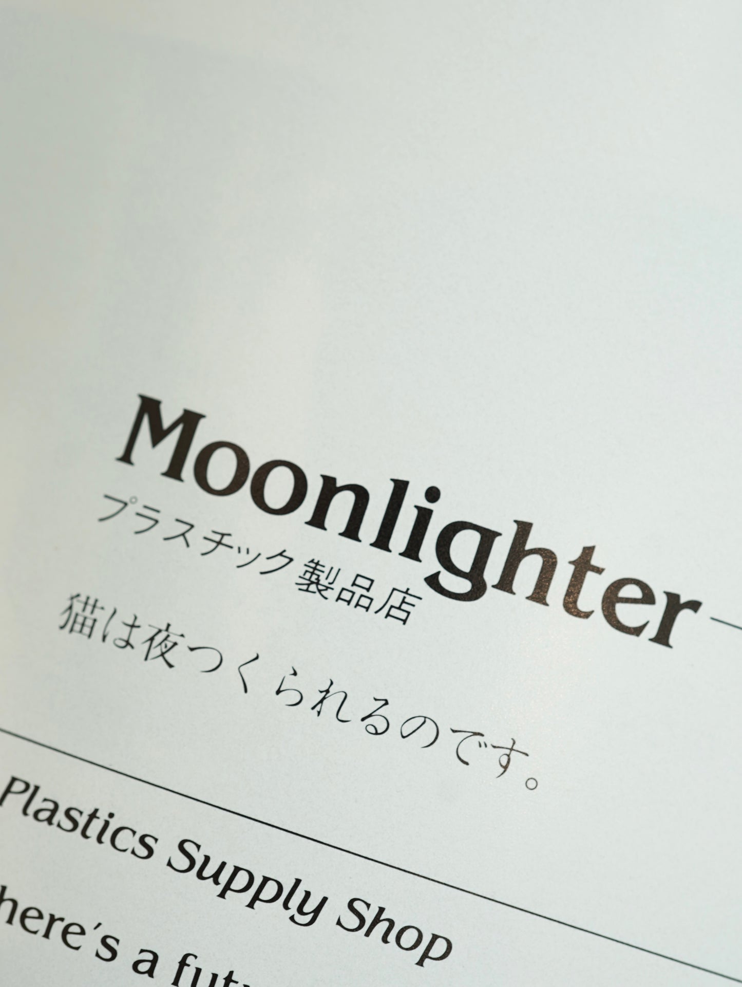 Slon Books - ニューヨークの猫たち