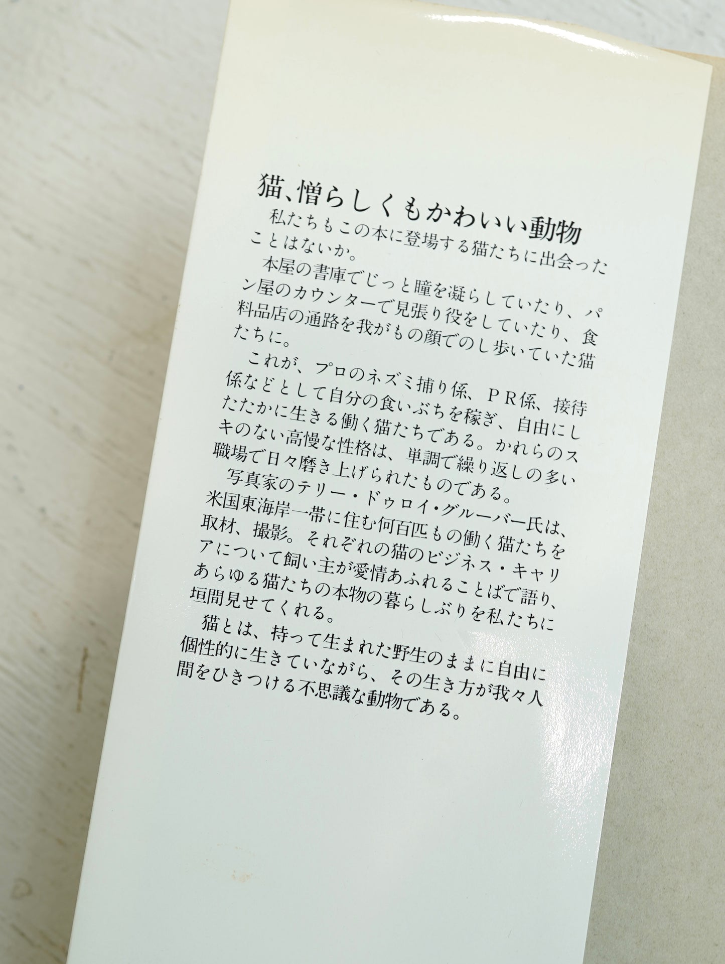 Slon Books - ニューヨークの猫たち