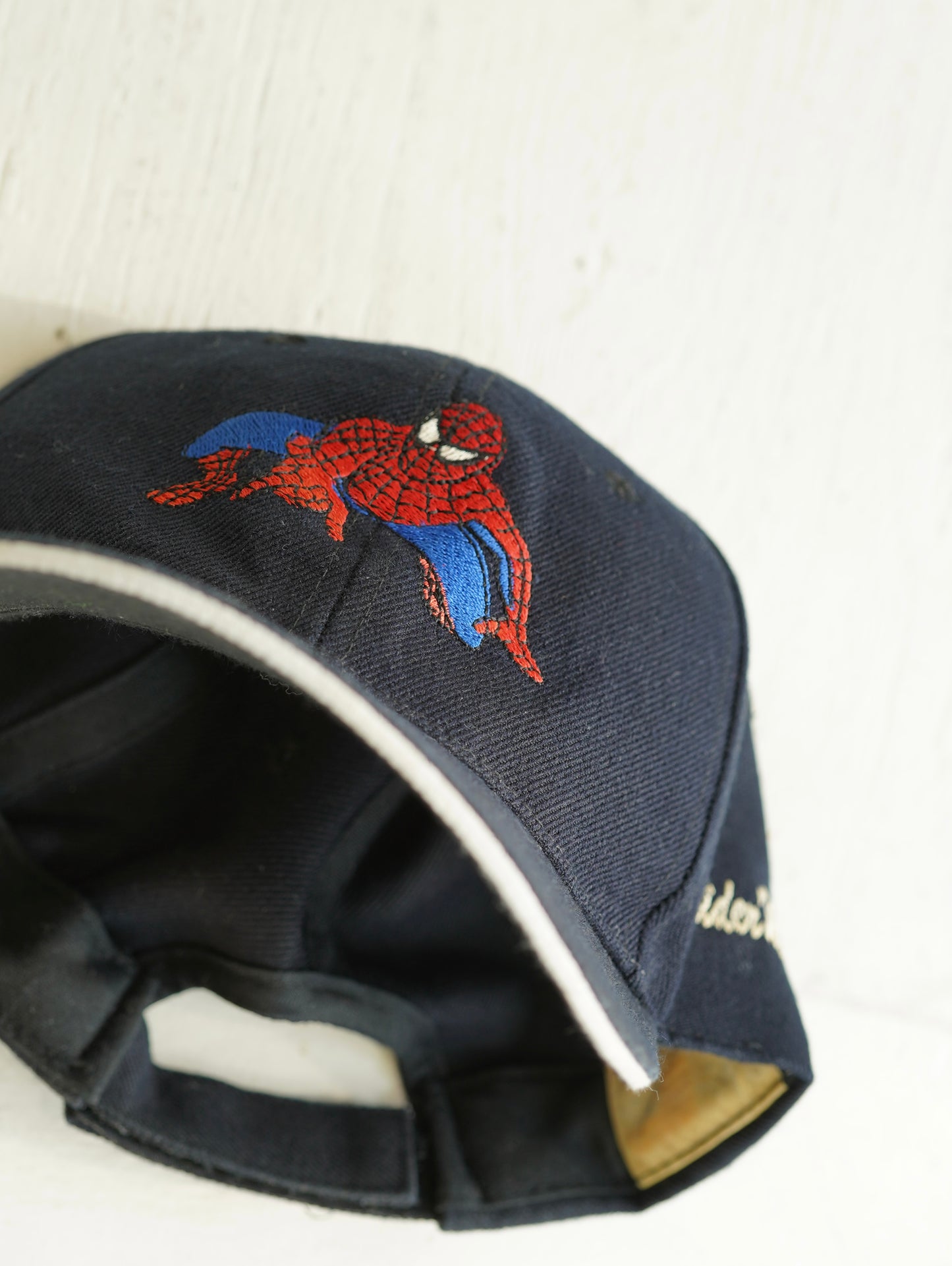 Spider Man Cap