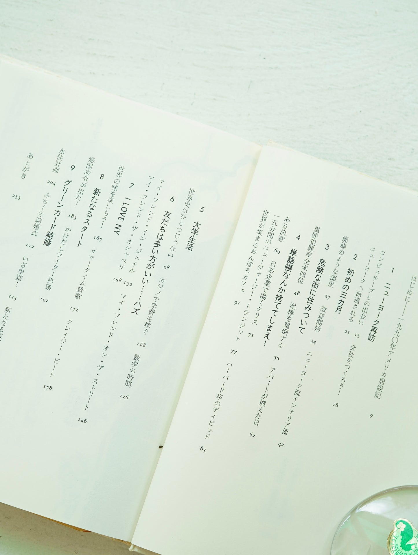 Slon Books - ニューヨークロフト暮らし
