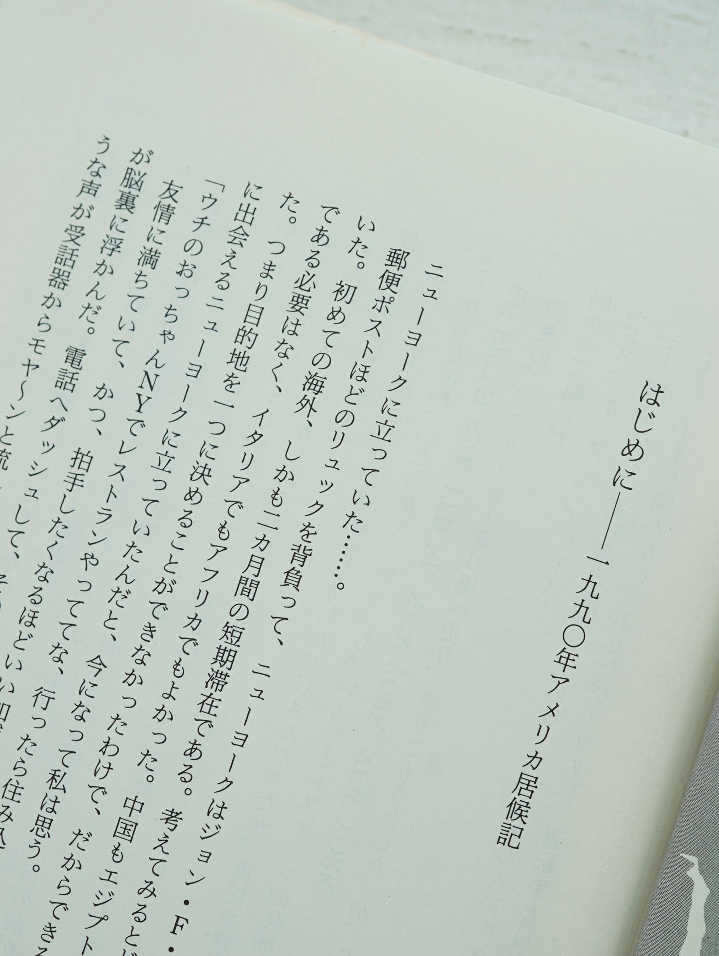 Slon Books - ニューヨークロフト暮らし