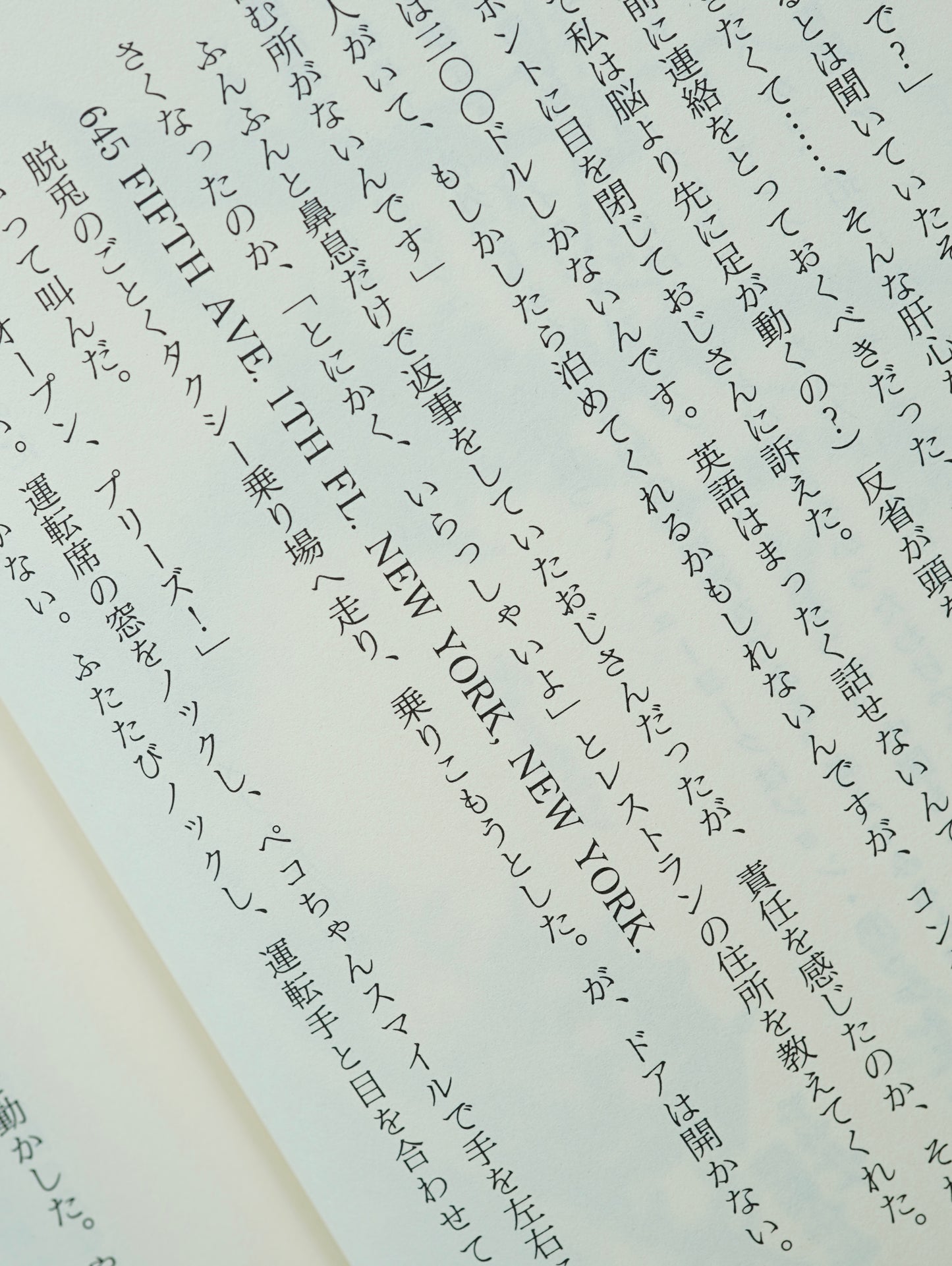 Slon Books - ニューヨークロフト暮らし