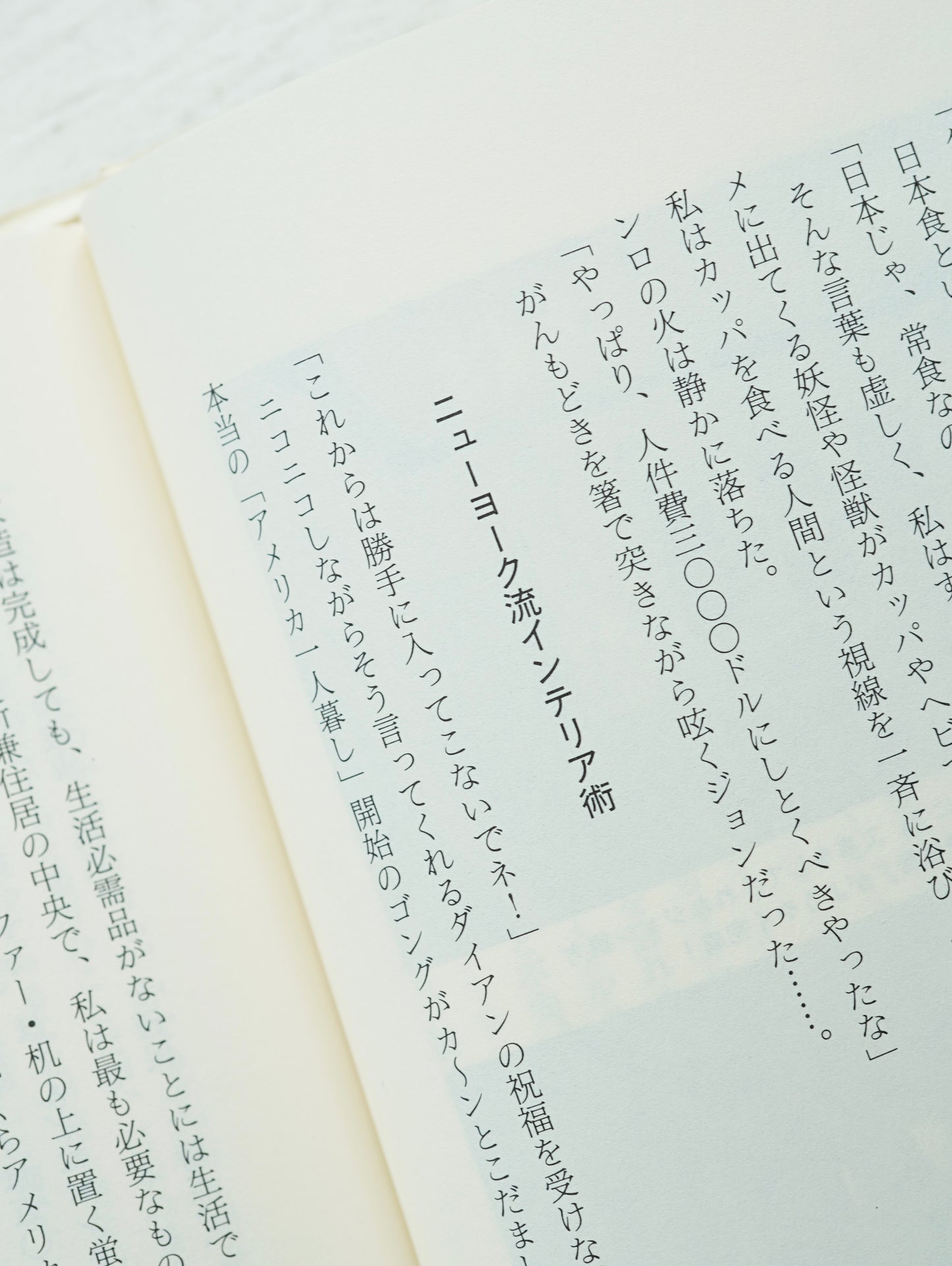 Slon Books - ニューヨークロフト暮らし
