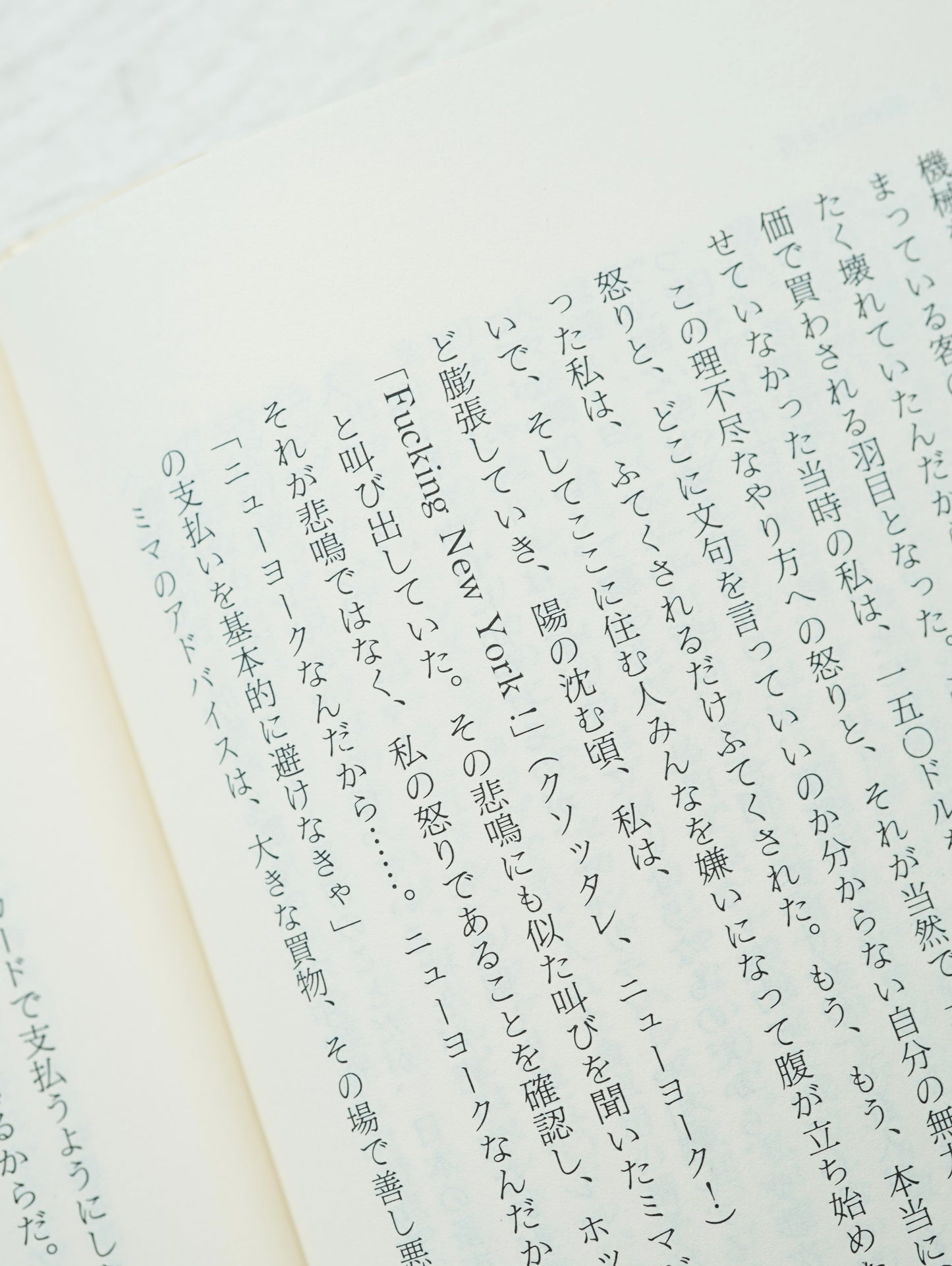 Slon Books - ニューヨークロフト暮らし