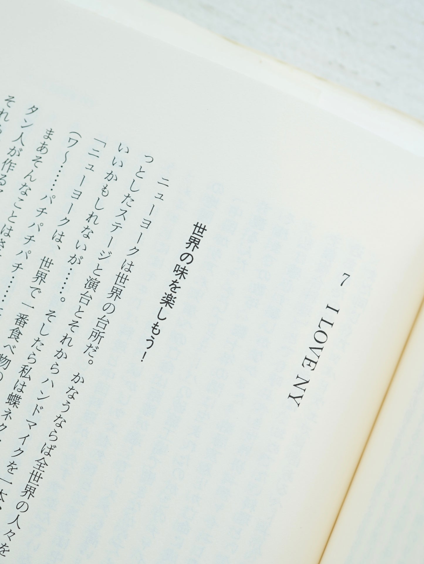Slon Books - ニューヨークロフト暮らし