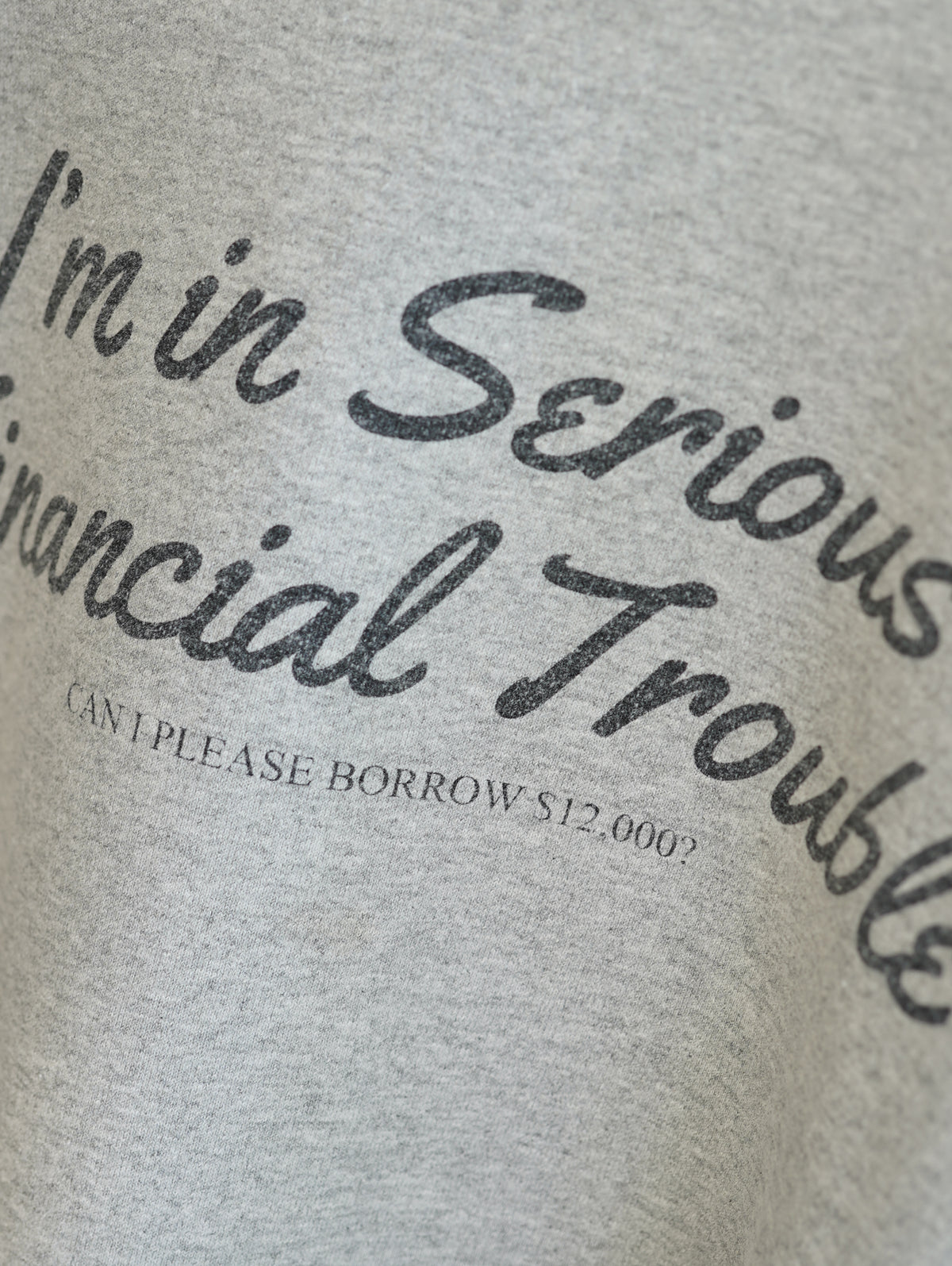 Shithead Steve "I’m in Serious Financial Trouble" Crewneck