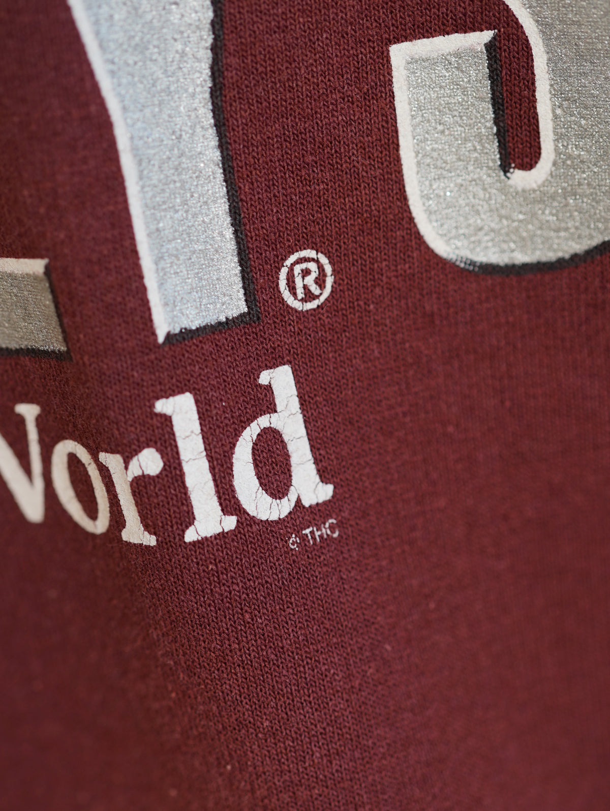 HERSHEY'S Chocolate World Souvenir Hoodie