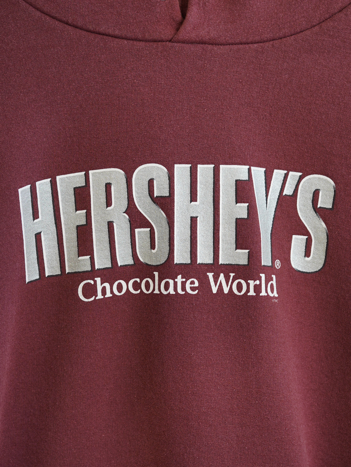 HERSHEY'S Chocolate World Souvenir Hoodie