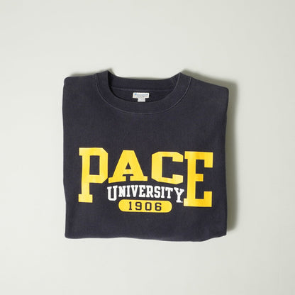 PACE UNIVERSITY Champion Reverse weave Sweatshirt