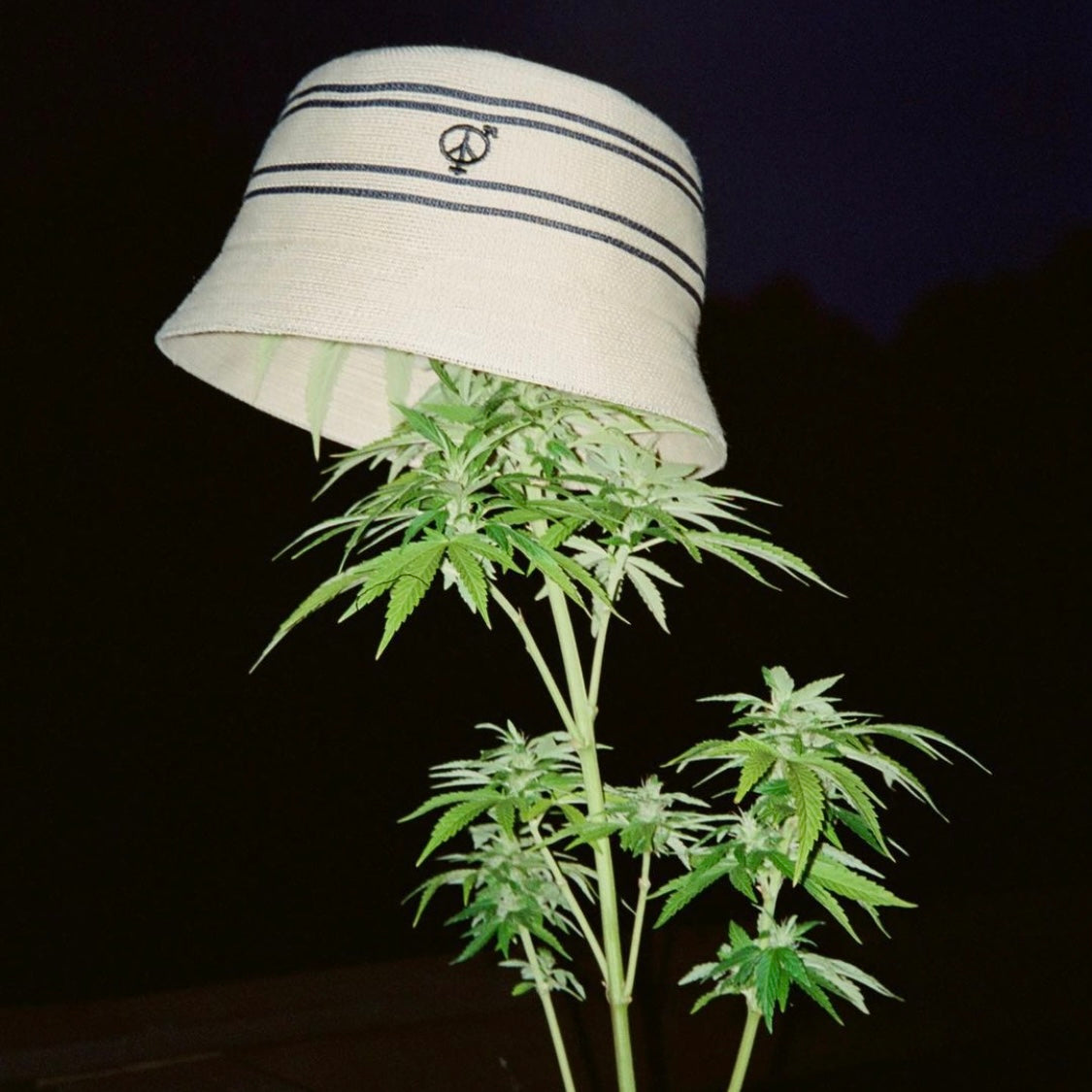 Sexhippies Striped OG Bucket Hat