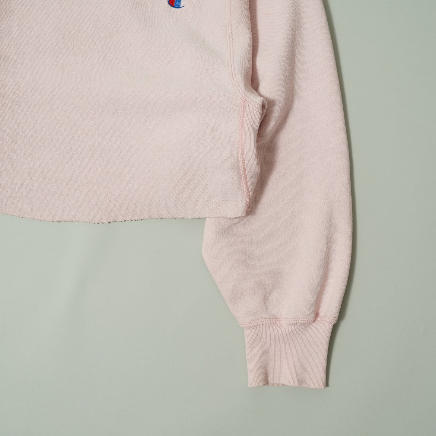 Cut off Cropped Champion Reverse Weave Sweatshirt