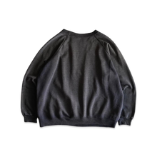 Load image into Gallery viewer, Hanes Sport 90&#39;s Worn Out Sweatshirt
