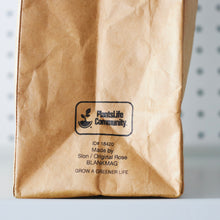 Load image into Gallery viewer, Slon x Original Rose x BLANKMAG The Brown Bag Planter Cover
